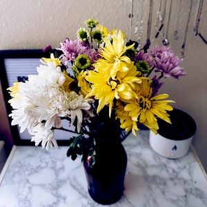 Meet your Posher, Ellinnore